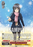 Accumulating Memories, Mai Sakurajima (SBY/W114-E047OFR OFR) [Rascal Does Not Dream Series]