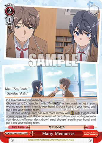 Many Memories (SBY/W114-E073b U) [Rascal Does Not Dream Series]